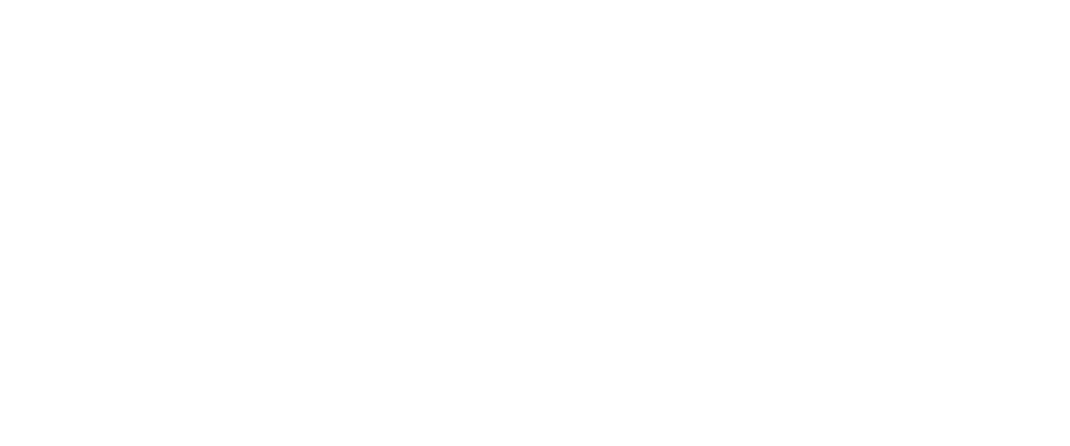 Dash Pay